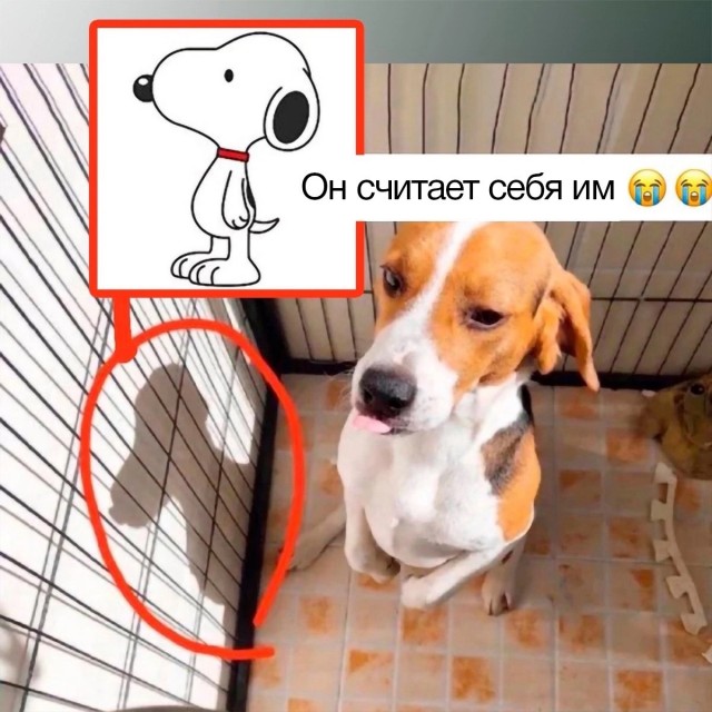 Так себе картинки 23.09.23