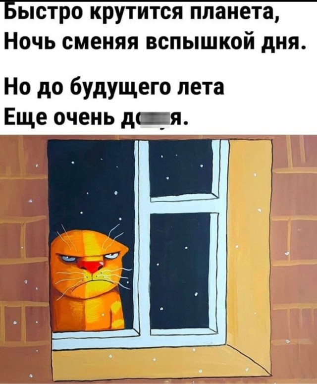 Всего понемногу. От 1.11.23