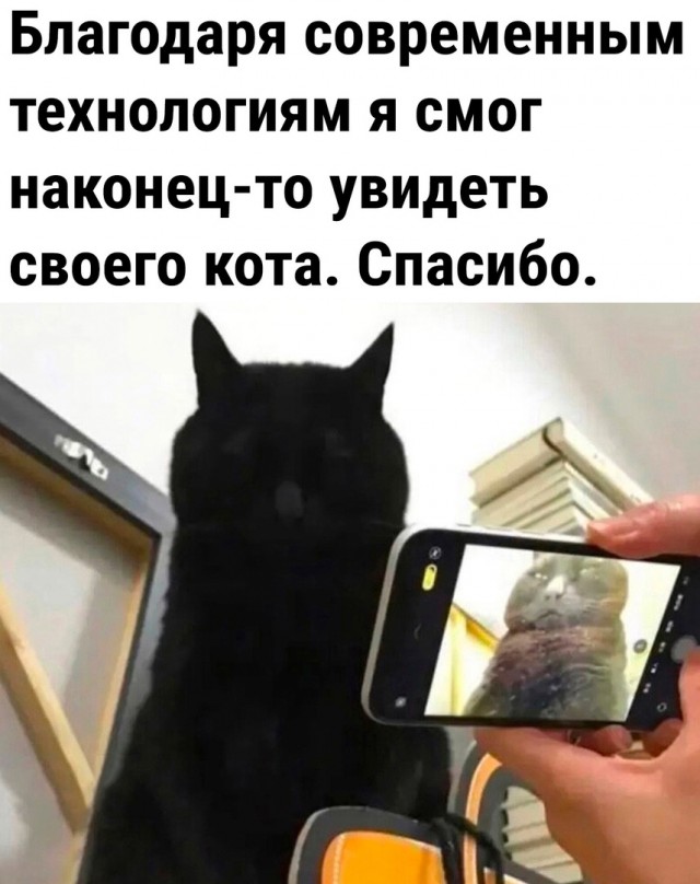 Так себе картинки 16.01.24