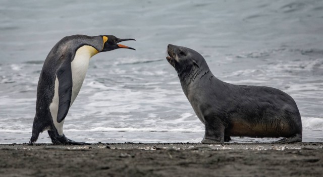 Подборка интересных и веселых картинок 14.02.24