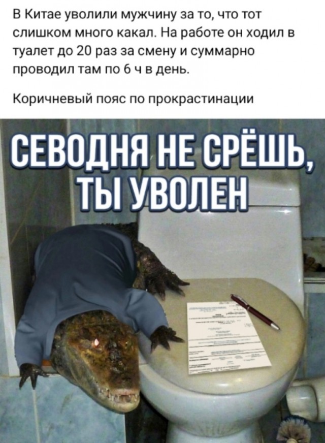Так себе картинки 16.02.24