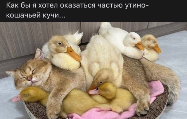 Завалялось тут случайно немного забавных картинок