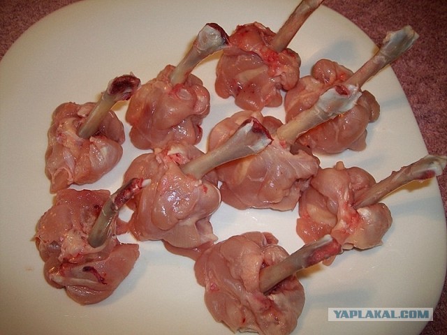 Крылинные курья