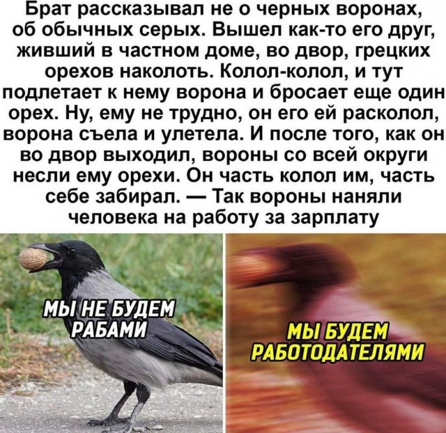 Завалялось тут случайно немного забавных картинок