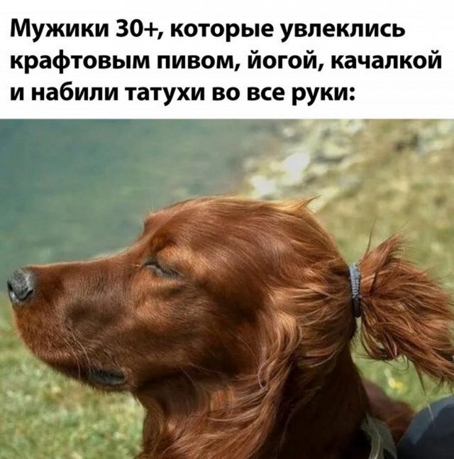 Всего понемногу. От 03.09.24