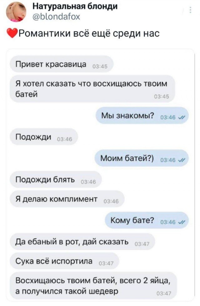 Немного забавных картинок от 13.10.2024