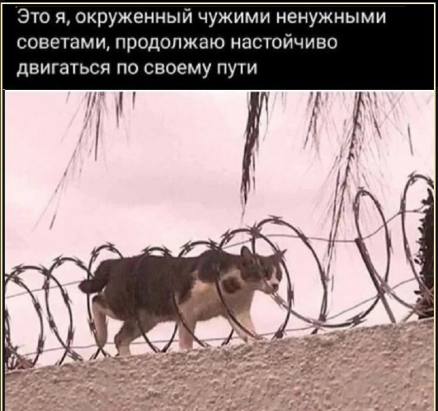 Картинки разные с надписями и без