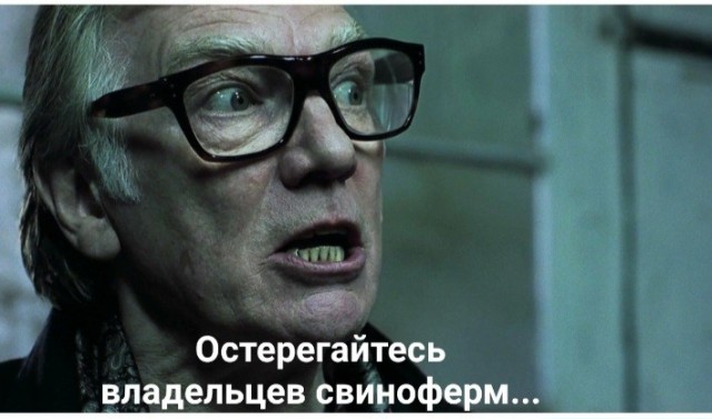 Матёрый кабан