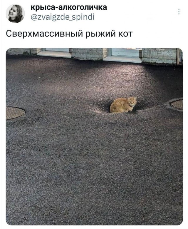 Так себе картинки 10.12.24