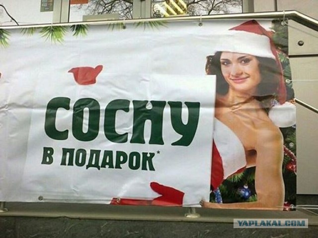 Баяны, очень баяны, но думаю улыбнёт