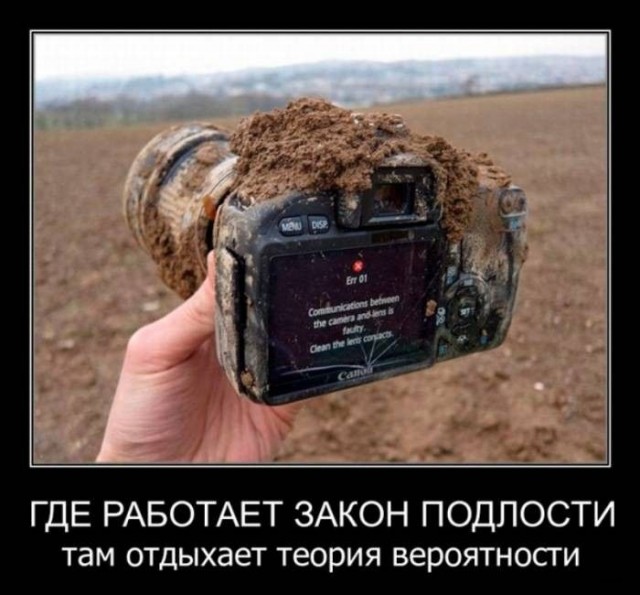Прикольные и просто красивые картинки 17.01.2025