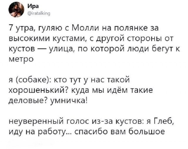 Так себе картинки 03.07.25