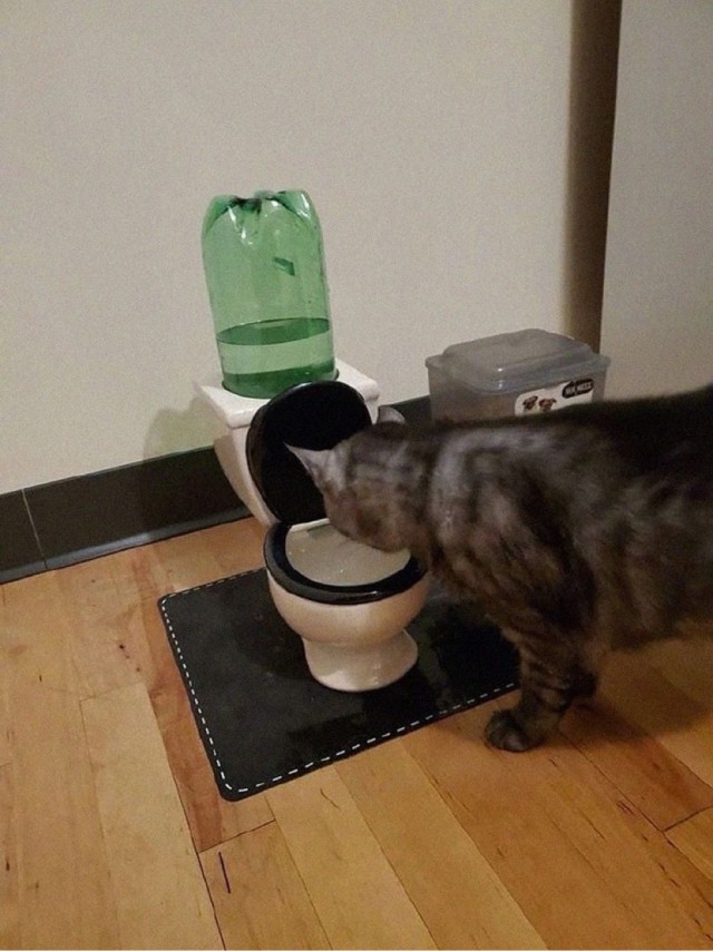 Утро начинается не с кофе