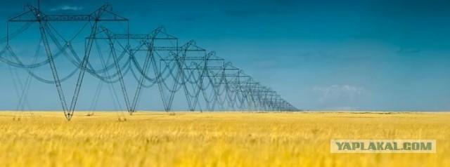 Первый раз такое вижу