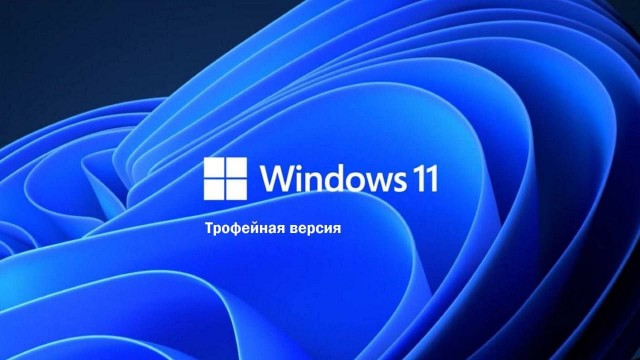 Пользователям Windows 10 дали срочные рекомендации