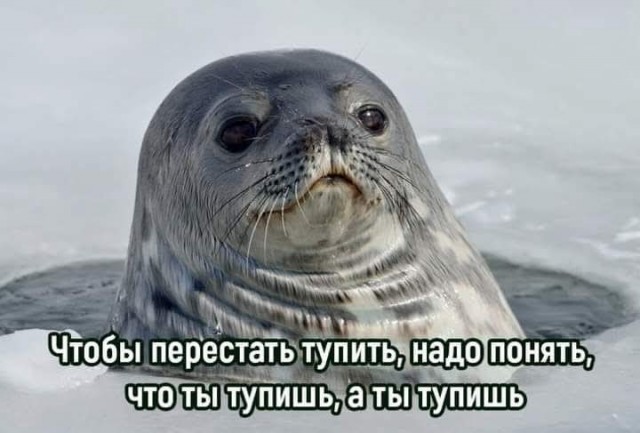 Маленькая пятница 1.10