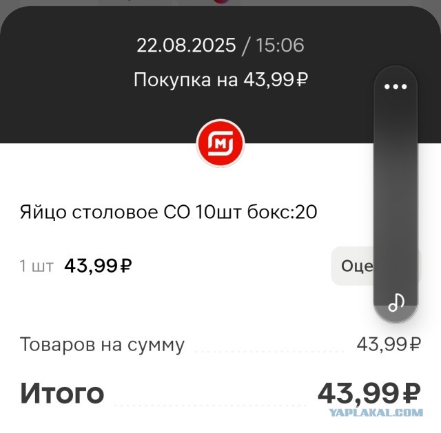 Россия оказалась в топ-5 стран с самыми дешёвыми яйцами