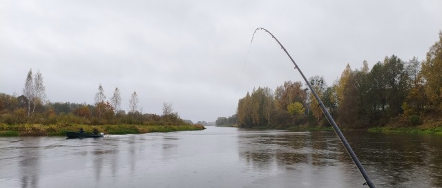 Рыбалка на реке Березина. Беларусь