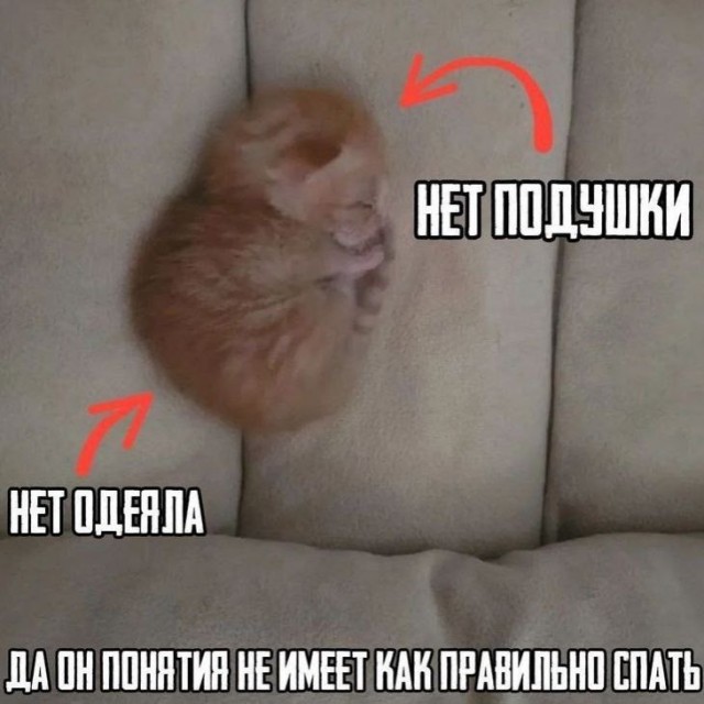 Скоро выходные и ноябрь