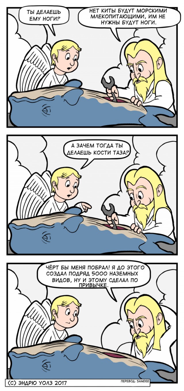 Ответы на "вопросы двоечника"