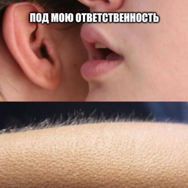 Дегрономикон 5