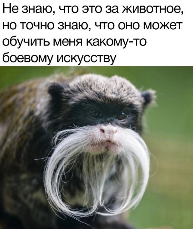 Веселые картинки в маленькую пятницу