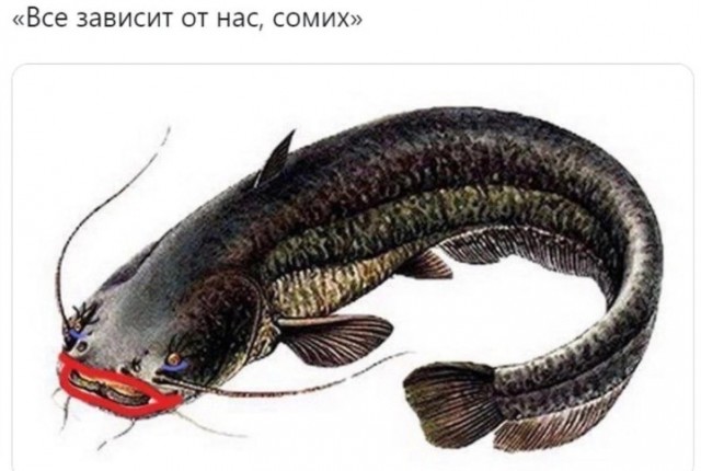 Ну что Дамы, похвастаемся, кому что подарили.