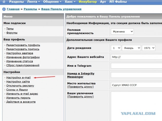 Куда уходить из Telegram, если не хотите в MAX?
