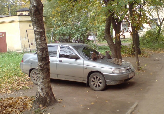 Предпусковой подогреватель «Котовебасто»