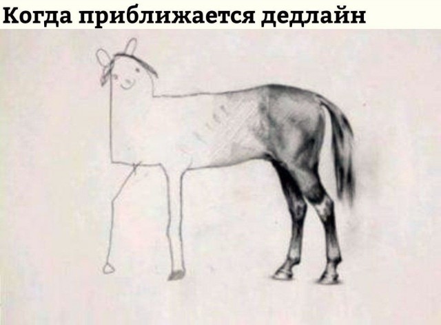 Вот такое чудо сегодня встретил