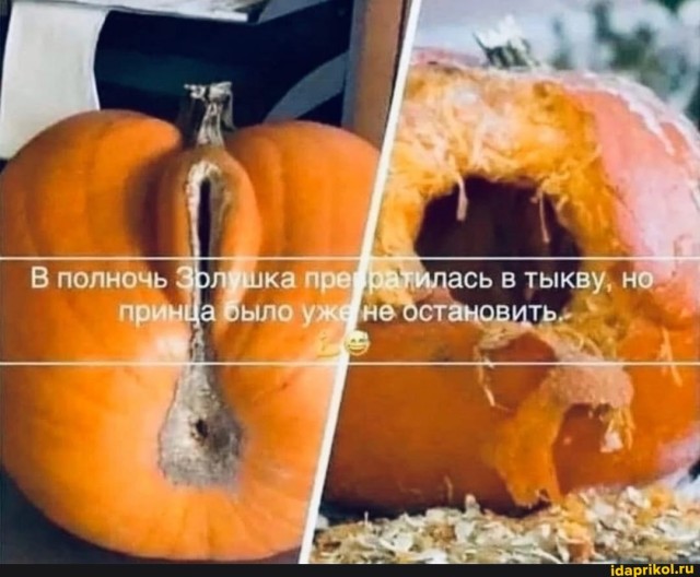 360-килограммовую тыкву вырастил житель Берёзовского Алексей Исаков