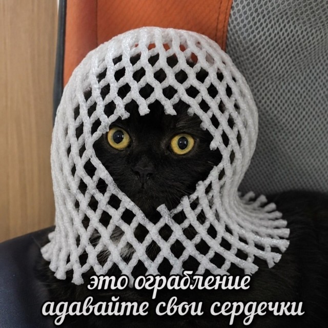 Совсем лёгкая деградация в картинках