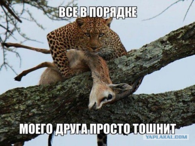 Это не то, что вы подумали!