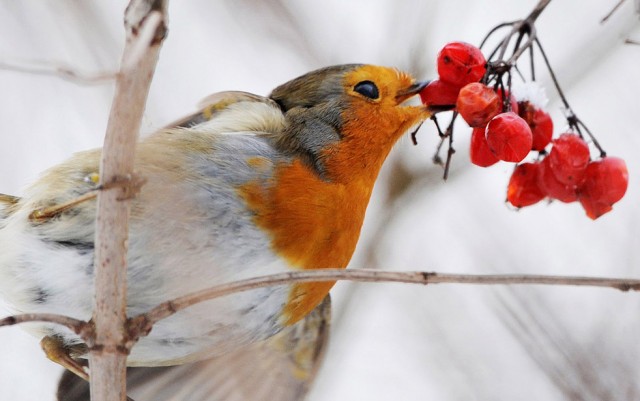 Погода в мире (19 фот)