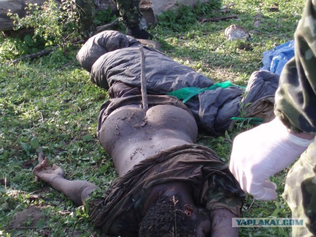 "Нокаут" не удался