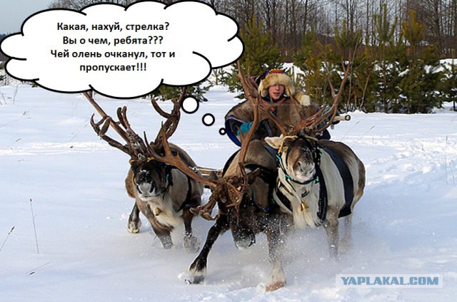 У каждого свои правила движения..