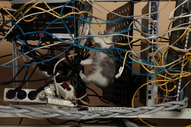 IT-календарь на 2015 год