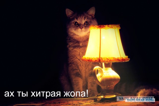 Шведская семья
