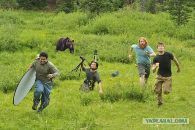 На что готовы фотографы ради удачного кадра