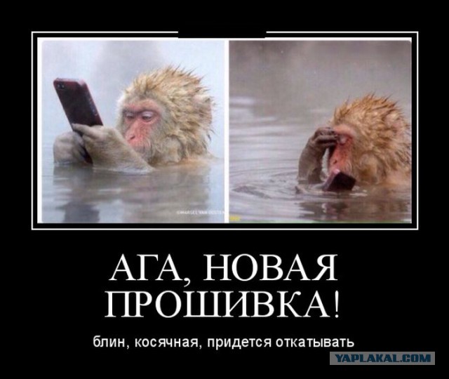 Картинки на пятницу