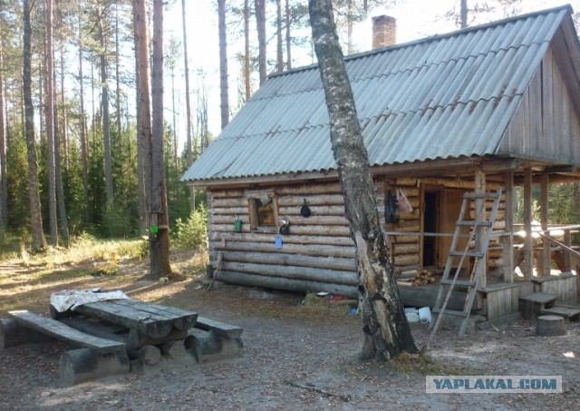 Я узнал, что у меня есть огромная семья