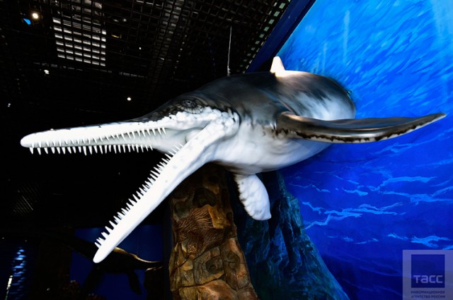 Подготовка к открытию Приморского океанариума на острове Русский во Владивостоке (Часть 2)