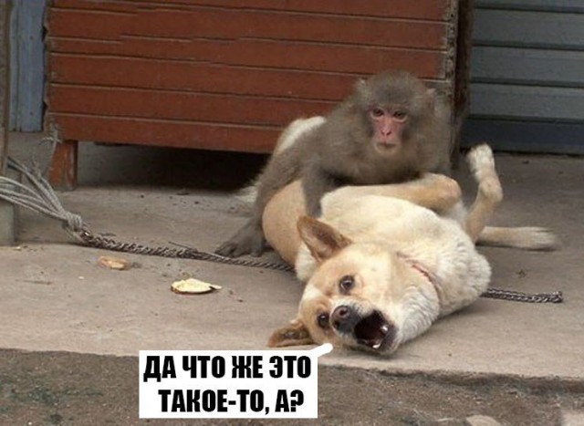 Групповое изнасилование по предварительному сговору (жесть)