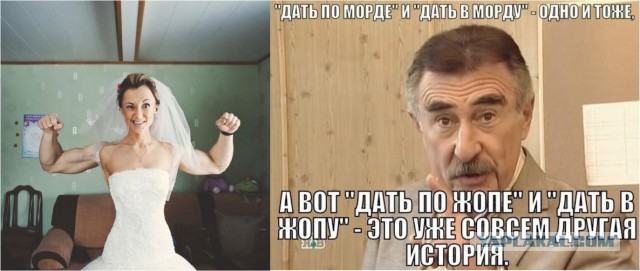 Подборка веселых картинок на выходные