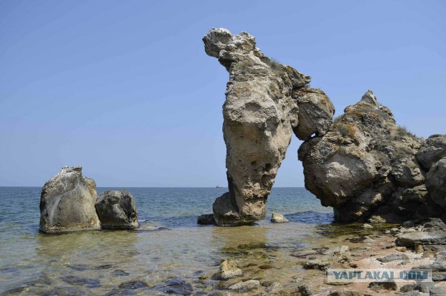 Поход вдоль Азовского моря (жара, змеи, пауки, приключения)