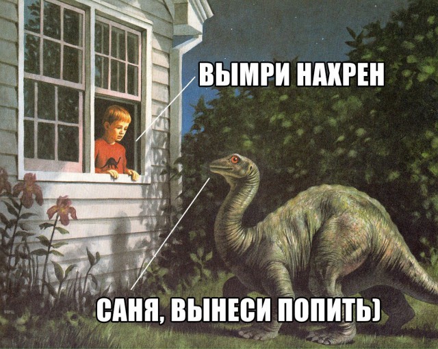 Прикольные картинки 19.06.2017.