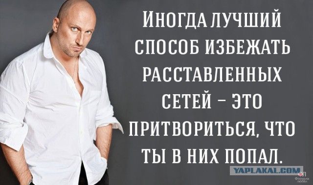 Выпускницы 2017 года