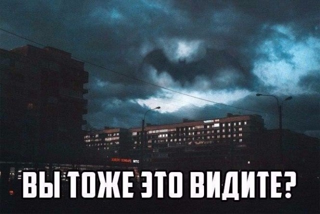 100 картинок для поднятия настроения!