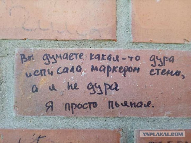 Давно мы не мизантропизировали...