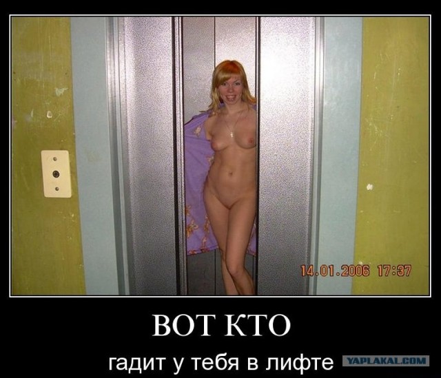 Нимфа